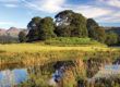 View of the Langdale Valley, the Lake District, in summer - Milne Moser Solicitors
